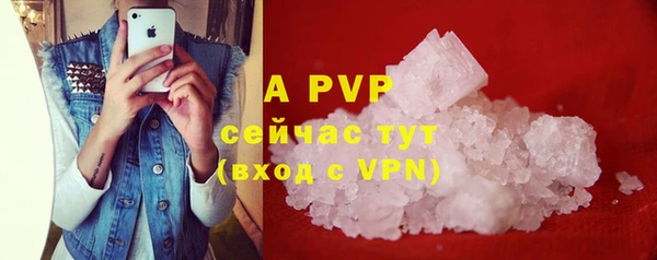 прущие грибы Горно-Алтайск