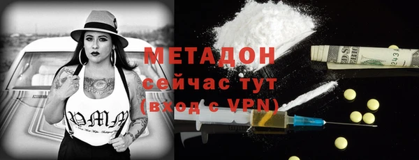 прущие грибы Горно-Алтайск