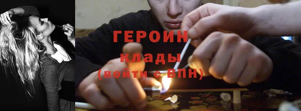 прущие грибы Горно-Алтайск