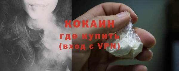 прущие грибы Горно-Алтайск