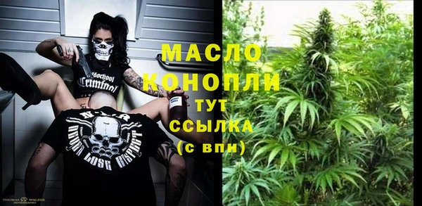 прущие грибы Горно-Алтайск