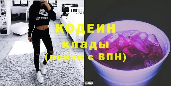 прущие грибы Горно-Алтайск