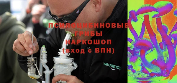 прущие грибы Горно-Алтайск